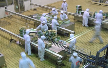 蒙牛乳業袋裝奶生產線（塑鋼板鏈輸送）